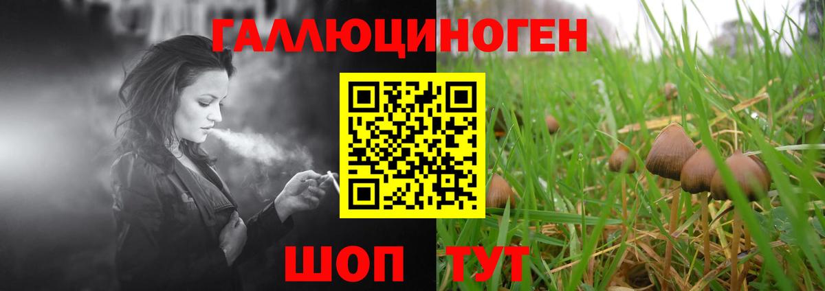 Галлюциногенные грибы Psilocybine cubensis  Вход с VPN  Галлюциногенные грибы Psilocybe  Ишимбай 